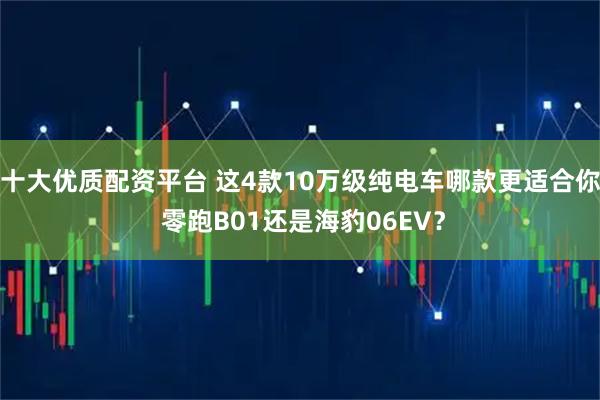 十大优质配资平台 这4款10万级纯电车哪款更适合你 零跑B01还是海豹06EV？